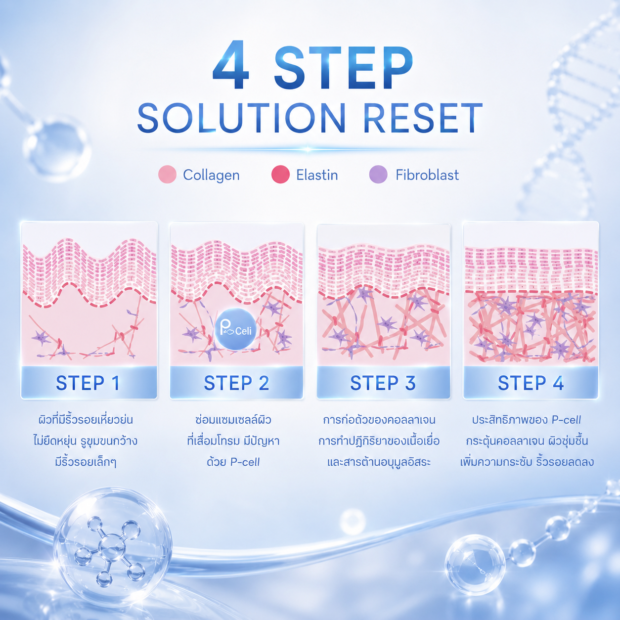 ผลลัพธ์ P-Cell Skin Booster