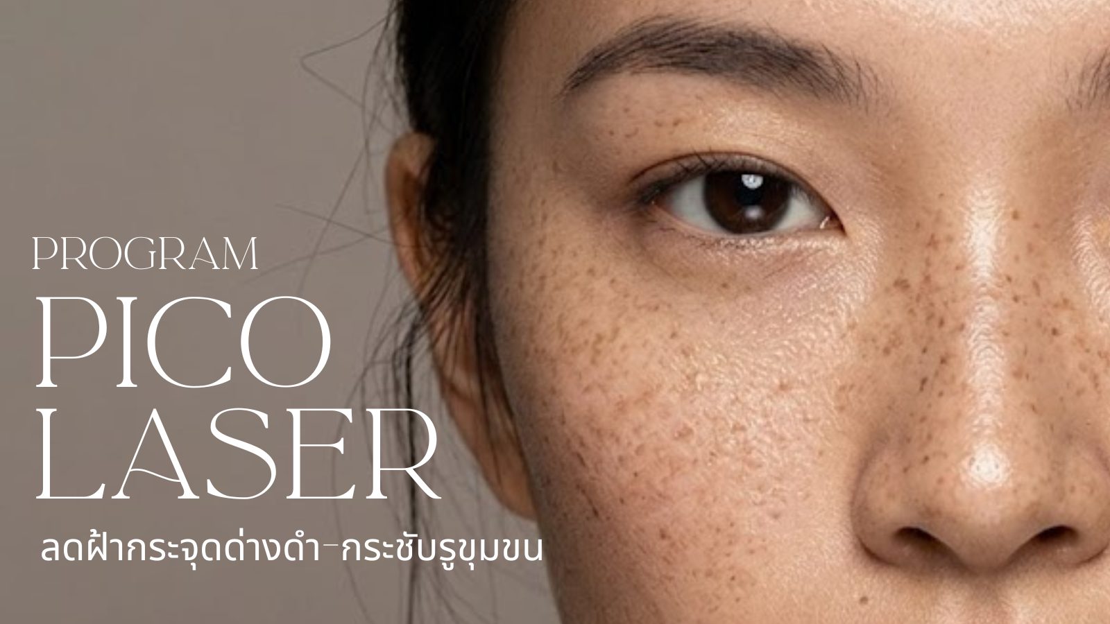 โปรแกรม PICO LASER